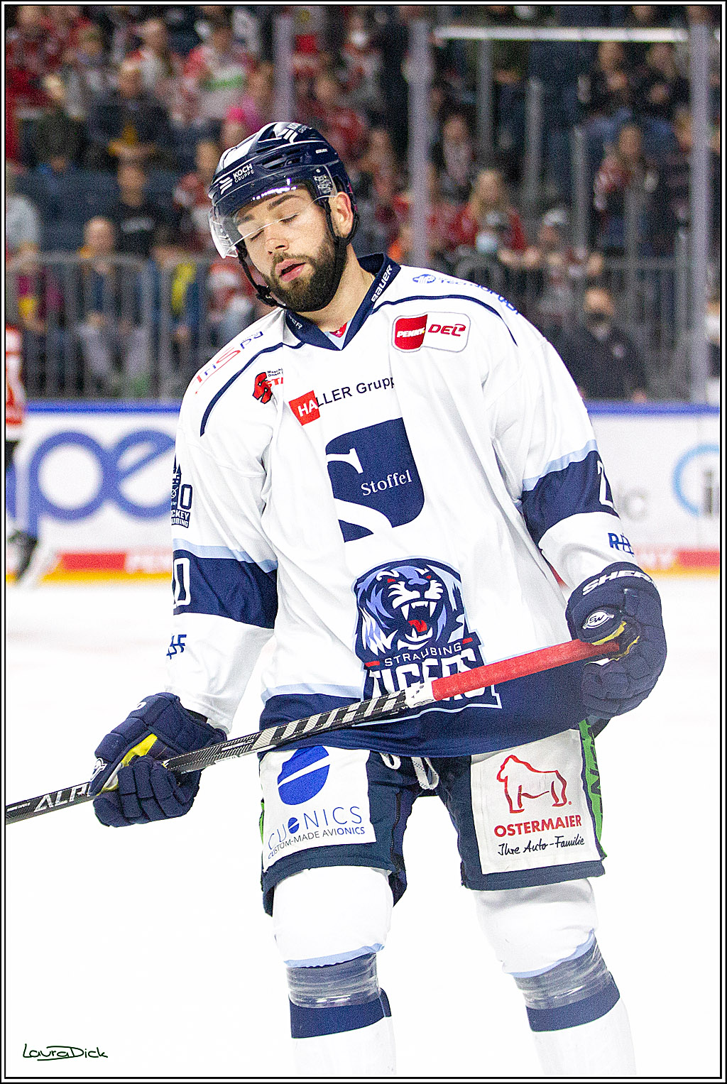 PENNY DEL;  Koelner Haie - Straubing Tigers; Koeln, 15.10.2021